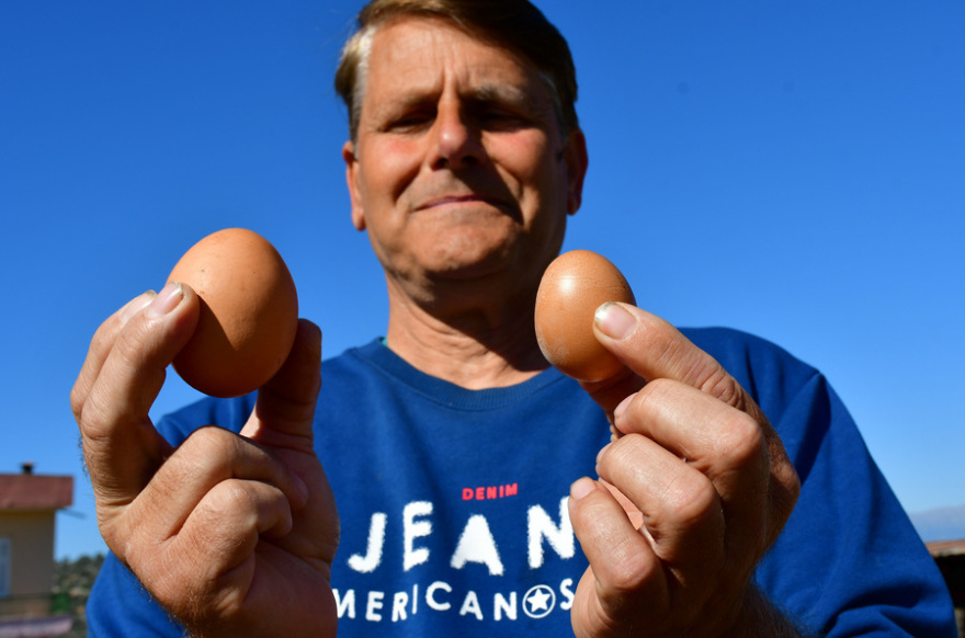 Αυγό... γίγας στο Ναύπλιο -  Πόσο ζυγίζει
