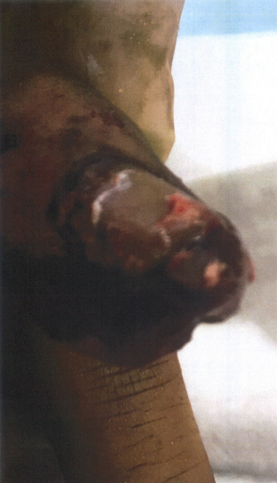 Αμπερ Χέρντ προς Τζόνι Ντεπ: «Απλά σε χτύπησα, μην κάνεις σαν μωρό!»