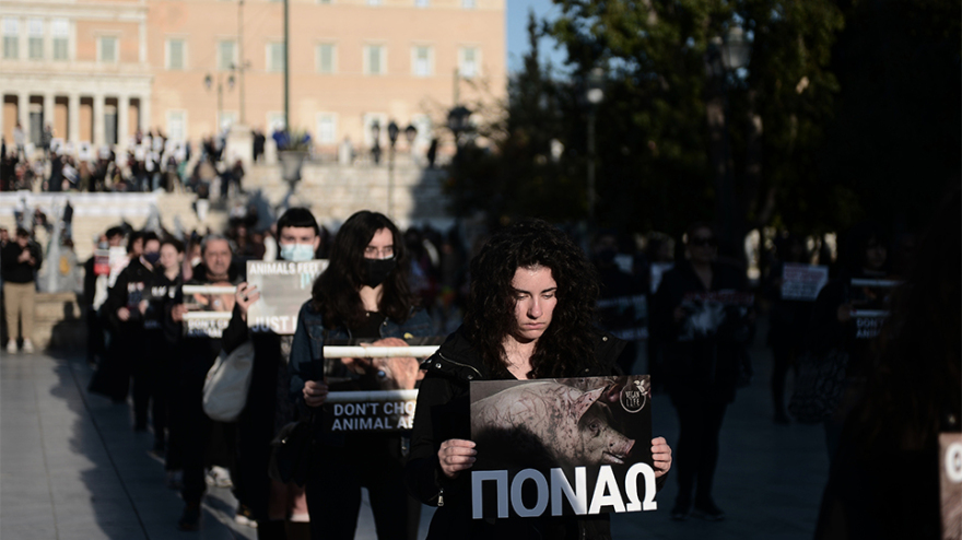 Να σταματήσει το «βάρβαρο» έθιμο του σουβλίσματος του αρνιού, είπαν δεκάδες vegan στο Σύνταγμα