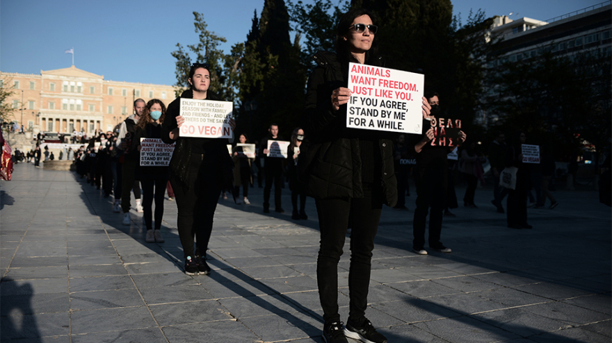 Να σταματήσει το «βάρβαρο» έθιμο του σουβλίσματος του αρνιού, είπαν δεκάδες vegan στο Σύνταγμα