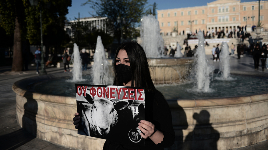 Να σταματήσει το «βάρβαρο» έθιμο του σουβλίσματος του αρνιού, είπαν δεκάδες vegan στο Σύνταγμα