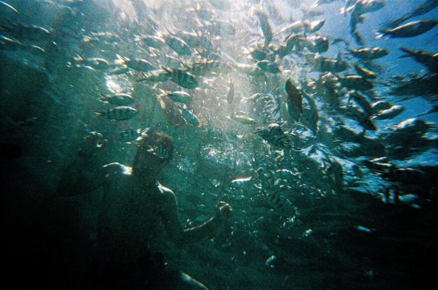 Ο Άγγελος Λάτσιος φωτογραφίζεται κάτω από το νερό