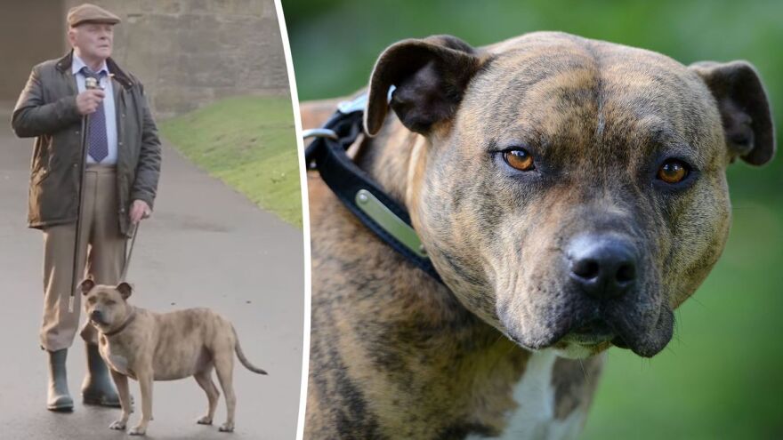 12 άγνωστες ιστορίες που συνέβησαν στα γυρίσματα διάσημων ταινιών