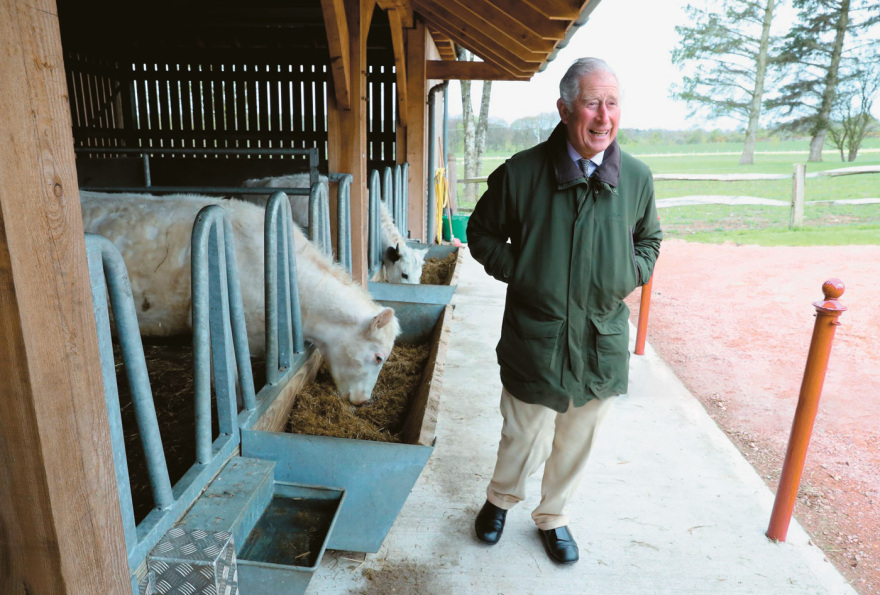 Πώς το Τατόι θα γίνει Dumfries House - Σήμερα η συνάντηση Μητσοτάκη με τον πρίγκιπα Κάρολο