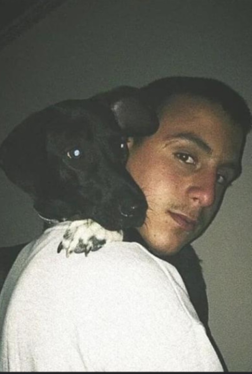 Γαλατάς Ναυπακτίας: Άλογα ποδοπάτησαν δύο ανήλικα παιδιά - Διασωληνωμένος ο 17χρονος, χτύπησε στο κεφάλι η φίλη του