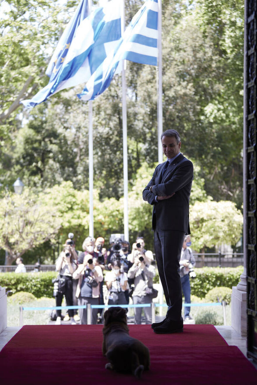 Πίνατ: Ο σκύλος του Μεγάρου Μαξίμου «υποδέχθηκε» τη Φινλανδή πρωθυπουργό