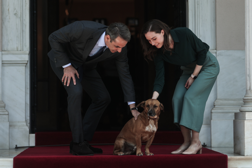 Πίνατ: Ο σκύλος του Μεγάρου Μαξίμου «υποδέχθηκε» τη Φινλανδή πρωθυπουργό