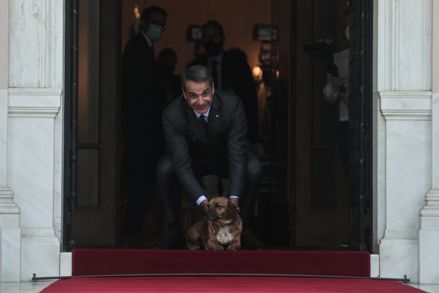 Πίνατ: Ο σκύλος του Μεγάρου Μαξίμου «υποδέχθηκε» τη Φινλανδή πρωθυπουργό