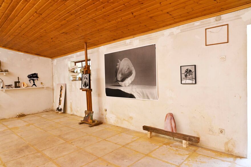 «Αμαζόνιος»: Το Εθνικό Μουσείο  Σύγχρονης Τέχνης διοργανώνει έκθεση σε ανοιχτό χώρο