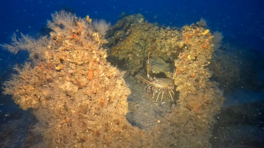 Εντυπωσιακές εικόνες από το ναυάγιο «Τρεις Ιεράρχαι» - Τα ίχνη του είχαν χαθεί εδώ και μισό αιώνα