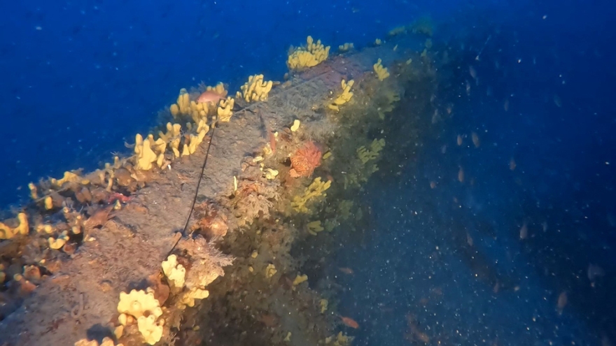 Εντυπωσιακές εικόνες από το ναυάγιο «Τρεις Ιεράρχαι» - Τα ίχνη του είχαν χαθεί εδώ και μισό αιώνα