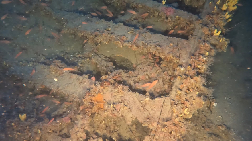 Εντυπωσιακές εικόνες από το ναυάγιο «Τρεις Ιεράρχαι» - Τα ίχνη του είχαν χαθεί εδώ και μισό αιώνα