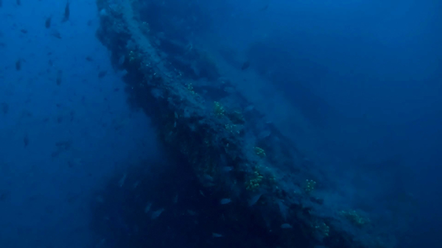Εντυπωσιακές εικόνες από το ναυάγιο «Τρεις Ιεράρχαι» - Τα ίχνη του είχαν χαθεί εδώ και μισό αιώνα