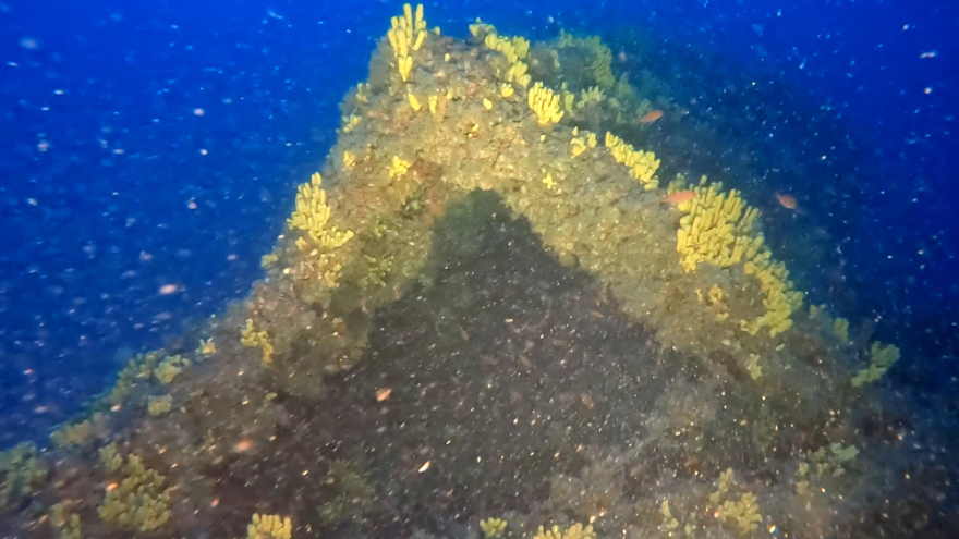 Εντυπωσιακές εικόνες από το ναυάγιο «Τρεις Ιεράρχαι» - Τα ίχνη του είχαν χαθεί εδώ και μισό αιώνα