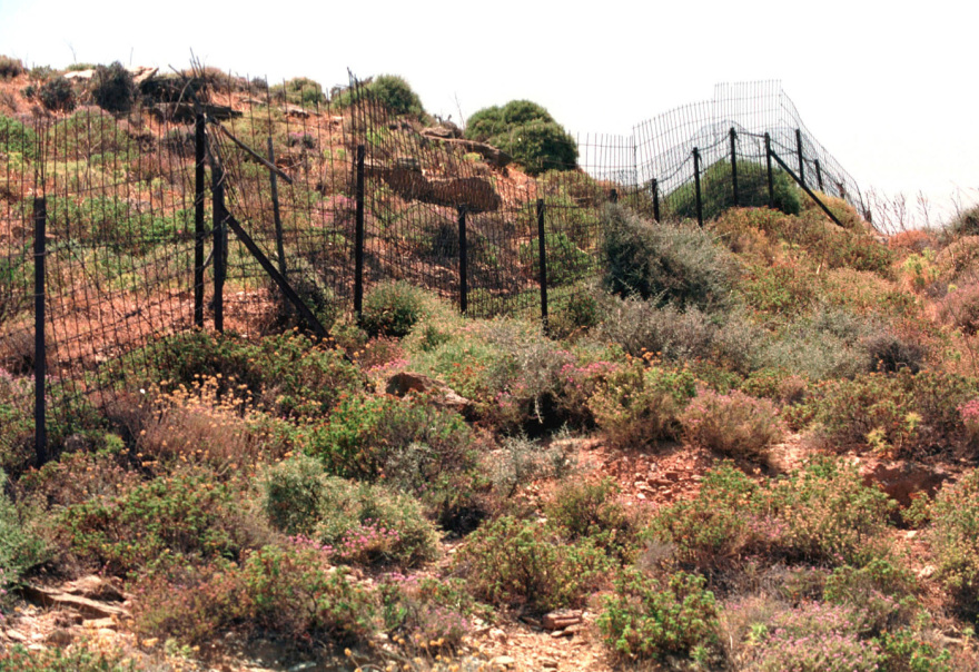 Υπουργείο Οικονομικών: Τέλος οι καταπατήσεις στα ακίνητα του Δημοσίου