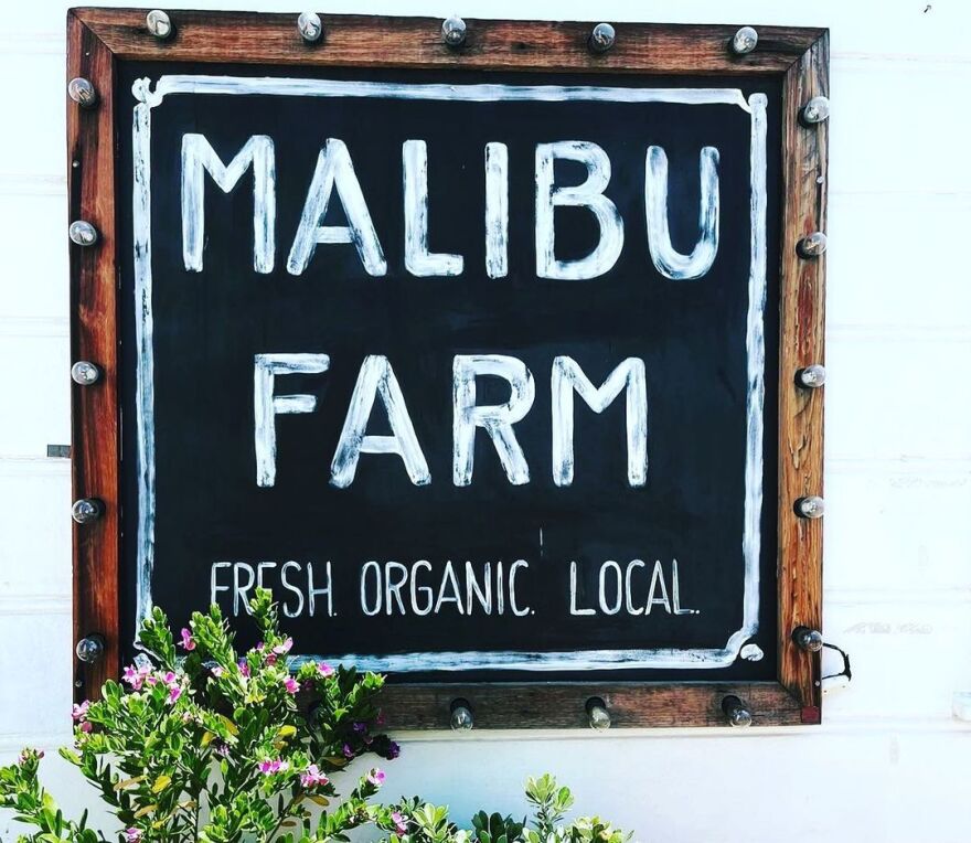 Τζένη Μπαλατσινού: Διακοπές στο Μαλιμπού με την κόρη της, Αμαλία