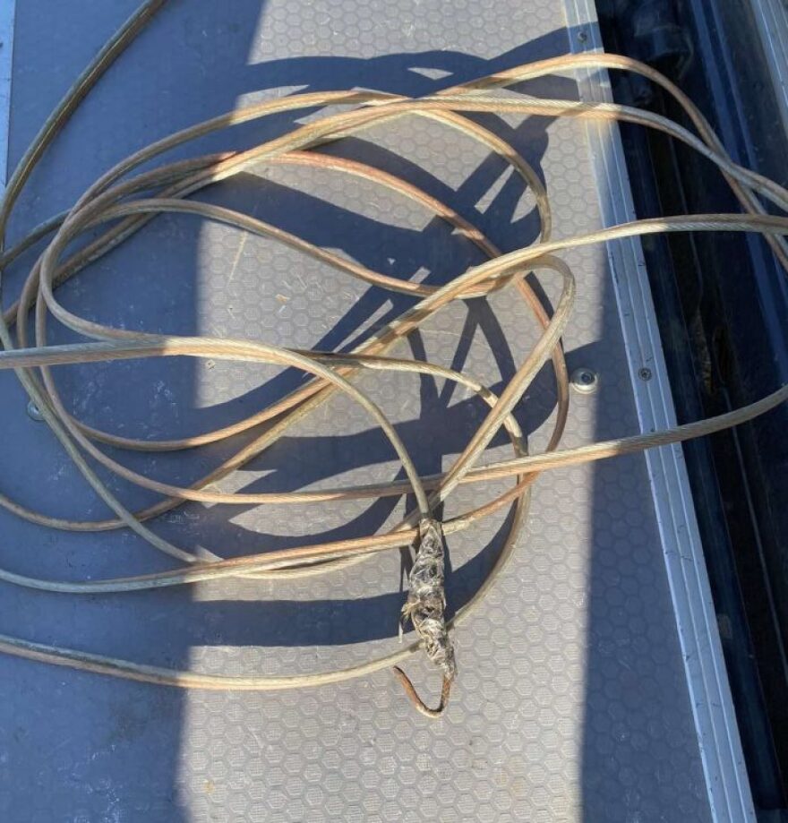 Μπαράζ ρευματοκλοπών σε ολόκληρη τη χώρα!