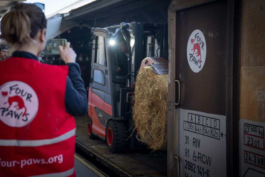 Ουκρανία: 40 τόνους ζωοτροφής έστειλε στη χώρα η διεθνής φιλοζωική οργάνωση 4 Paws