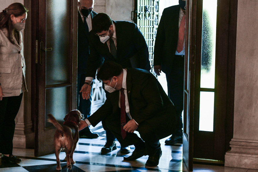 Η συνάντηση Μητσοτάκη με τον νέο Αμερικανό πρέσβη και η υποδοχή από τον Πίνατ