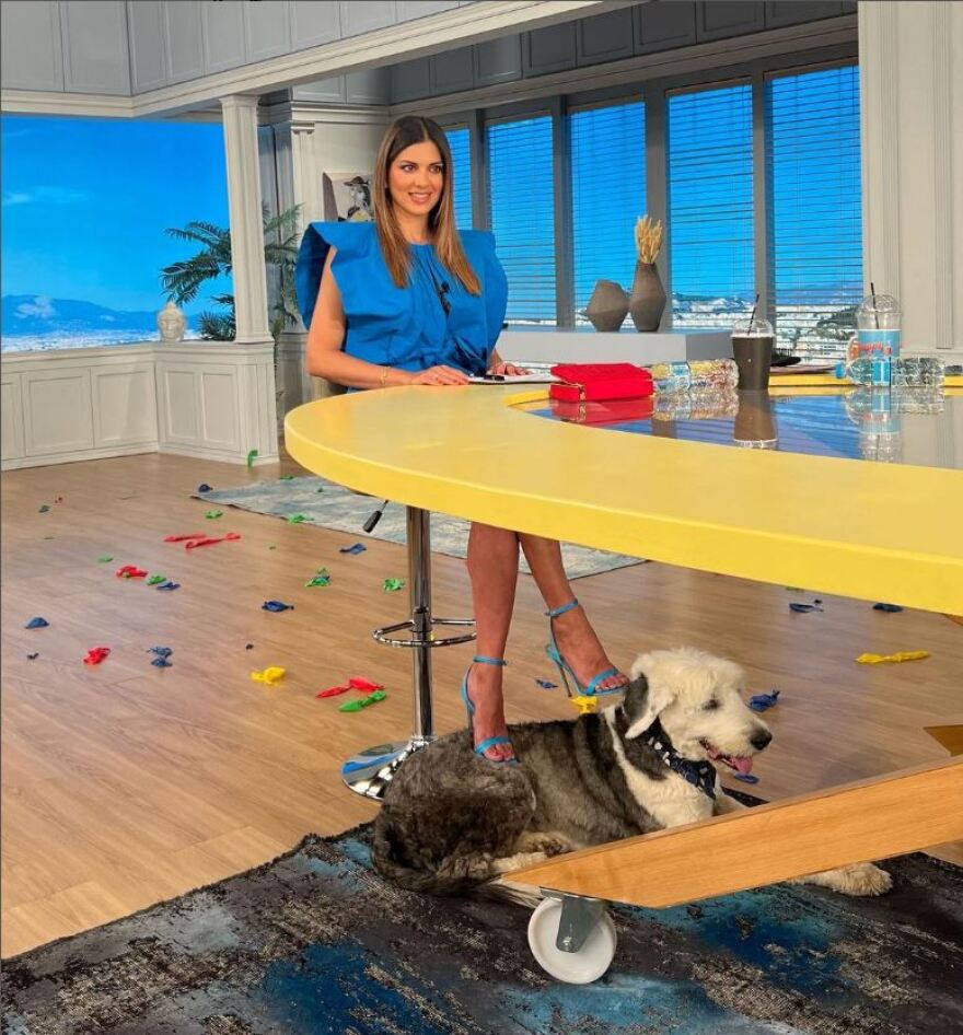 Σταματίνα Τσιμτσιλή: Αντιδράσεις για τη φωτογραφία που πατάει τον σκύλο στην εκπομπή της