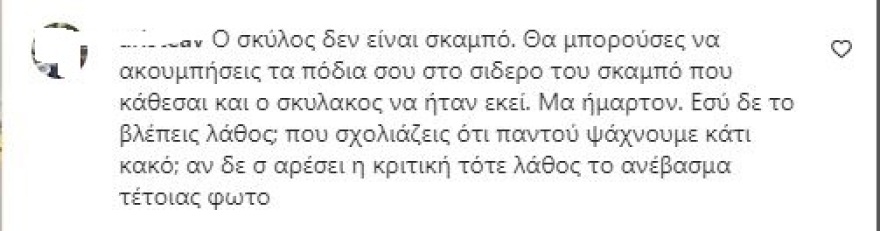 Σταματίνα Τσιμτσιλή: Αντιδράσεις για τη φωτογραφία που πατάει τον σκύλο στην εκπομπή της
