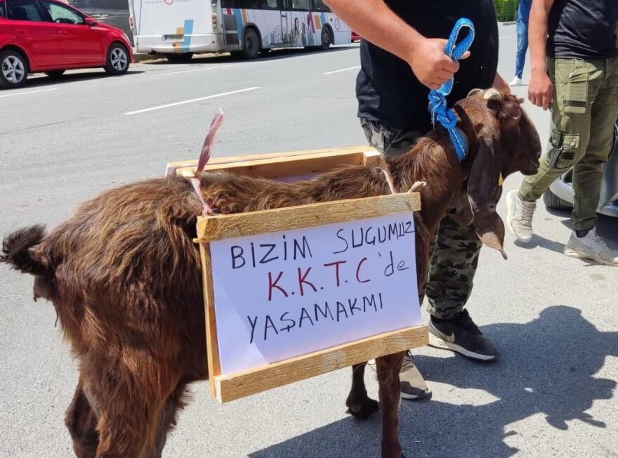 Επεισόδια με αγρότες που ήθελαν να πετάξουν κοπριά στο «Προεδρικό Μέγαρο» του ψευδοκράτους 