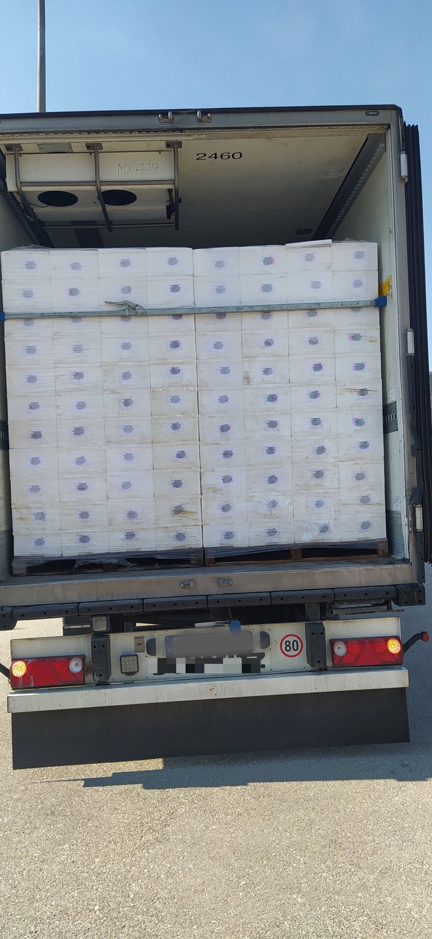 Ηγουμενίτσα: Φορτίο με πάνω από 7 εκατομμύρια λαθραία τσιγάρα σε νταλίκα με κατεψυγμένα ψάρια (φωτογραφίες)