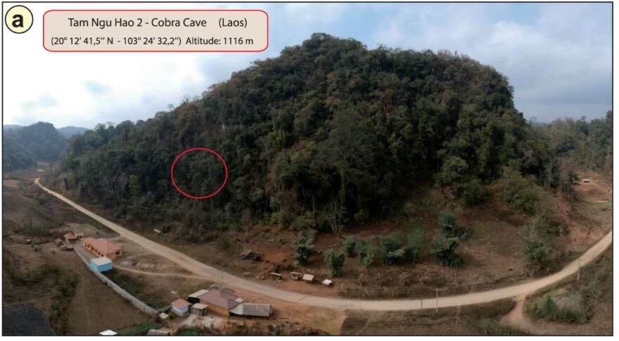 Παιδικό δοντάκι ηλικίας 130.000 ετών ανακαλύφθηκε σε σπήλαιο στο Λάος