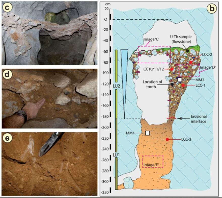 Παιδικό δοντάκι ηλικίας 130.000 ετών ανακαλύφθηκε σε σπήλαιο στο Λάος