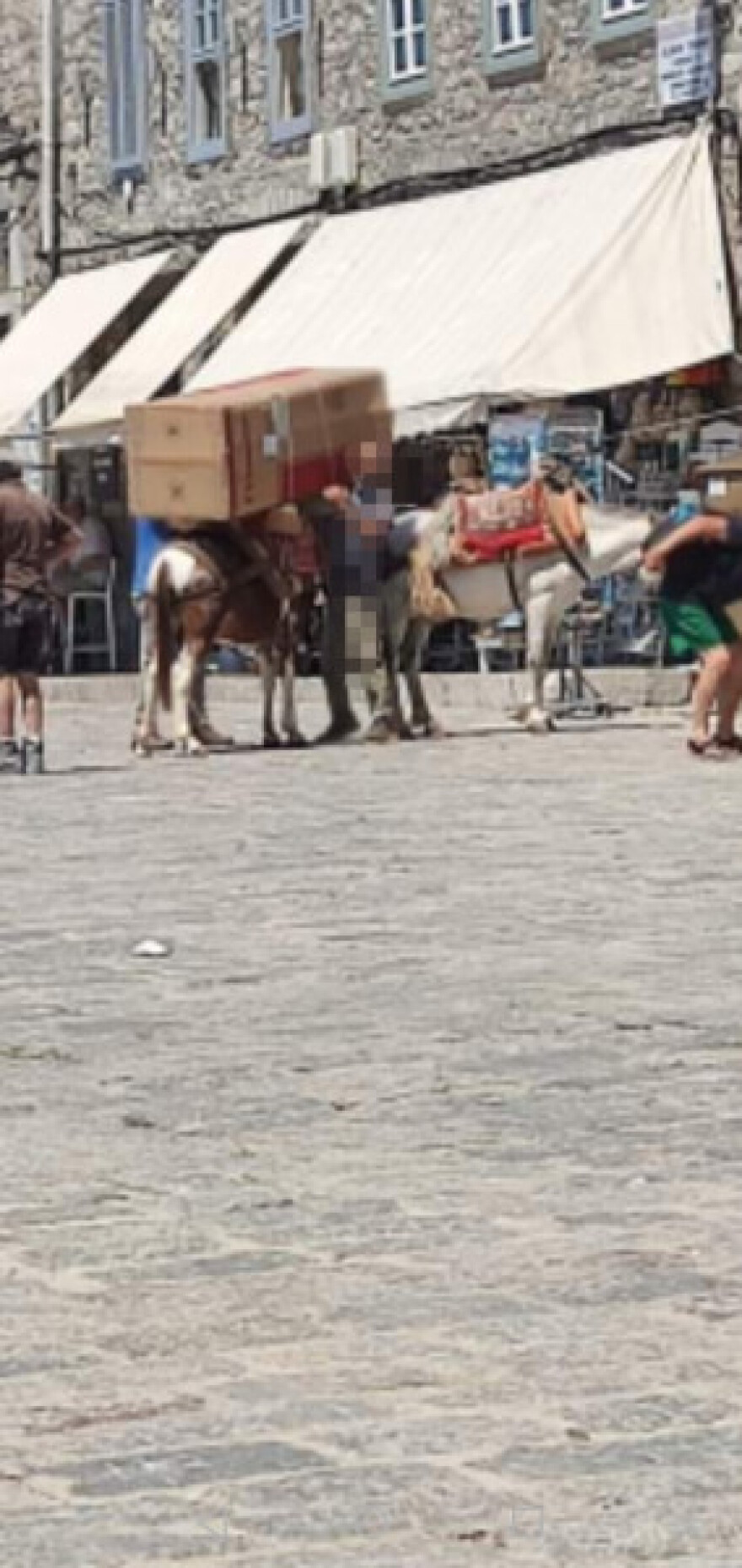 Ύδρα: Φόρτωσαν ολόκληρο ψυγείο σε γαϊδούρι