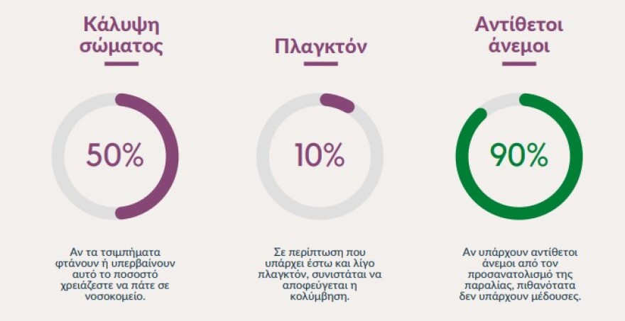 Οι μωβ μέδουσες «απειλούν» και το φετινό καλοκαίρι - Τι να κάνετε αν σας τσιμπήσουν