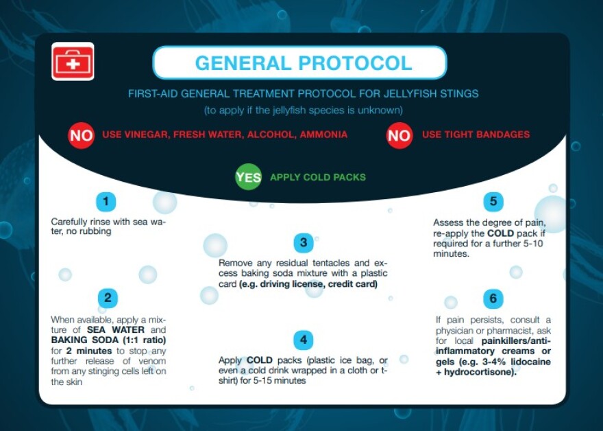 Οι μωβ μέδουσες «απειλούν» και το φετινό καλοκαίρι - Τι να κάνετε αν σας τσιμπήσουν