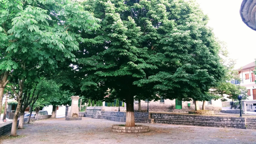 Θρασύτατος Αλβανός κλέφτης στην Καστάνιανη Πωγωνίου Ιωαννίνων