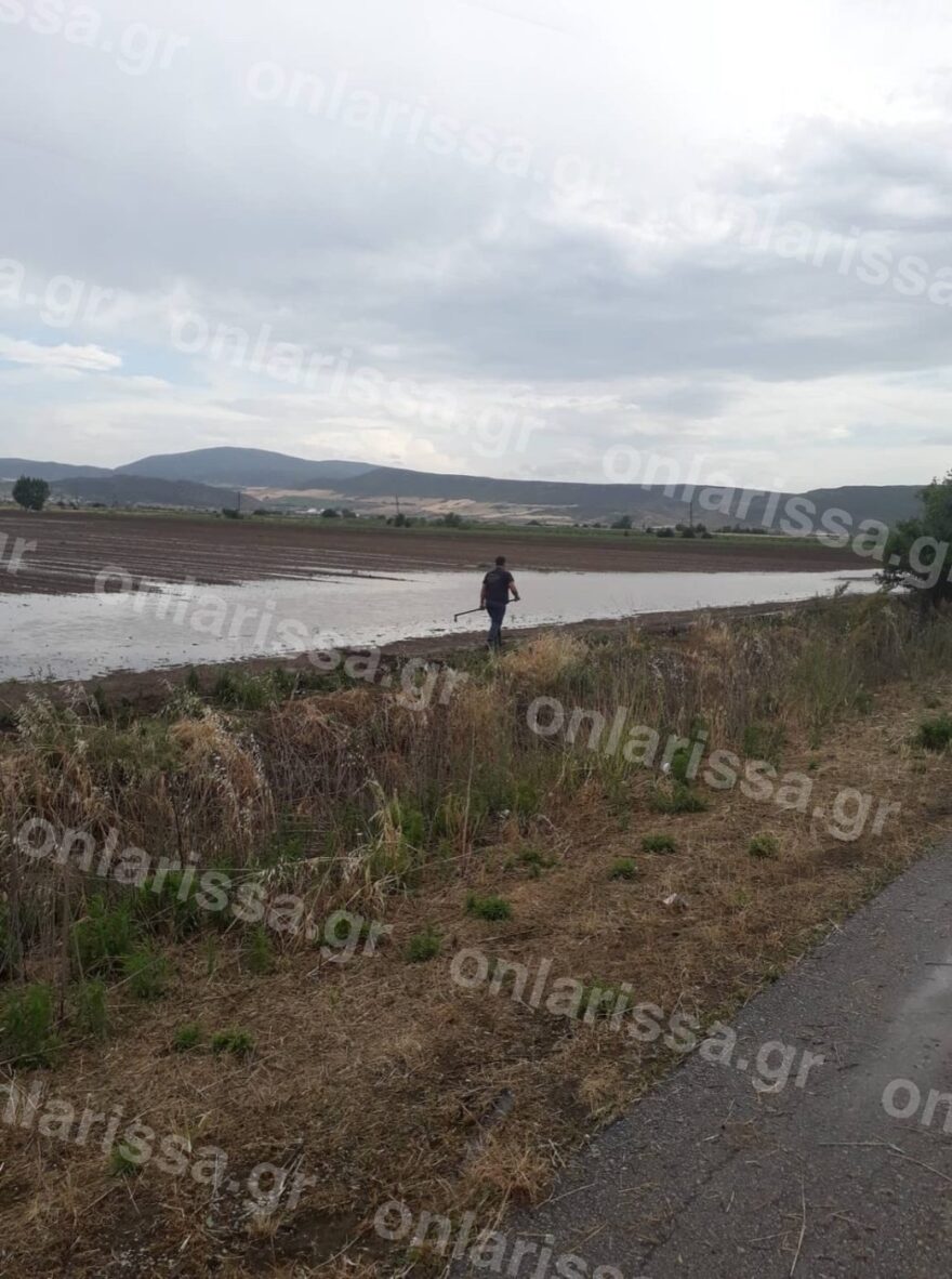 Νεροποντή και χαλάζι κατέστρεψαν τις καλλιέργειες στην επαρχία Φαρσάλων