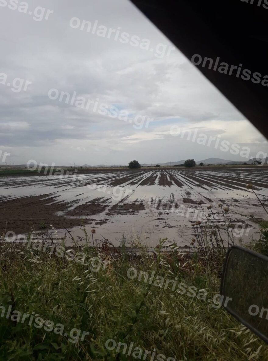 Νεροποντή και χαλάζι κατέστρεψαν τις καλλιέργειες στην επαρχία Φαρσάλων