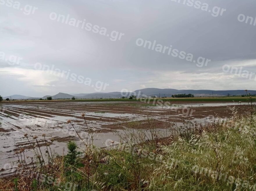 Νεροποντή και χαλάζι κατέστρεψαν τις καλλιέργειες στην επαρχία Φαρσάλων