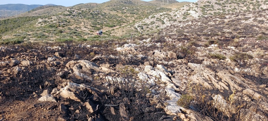 Σε ύφεση η φωτιά στην Κερατέα - Καίει από το μεσημέρι δασική έκταση 