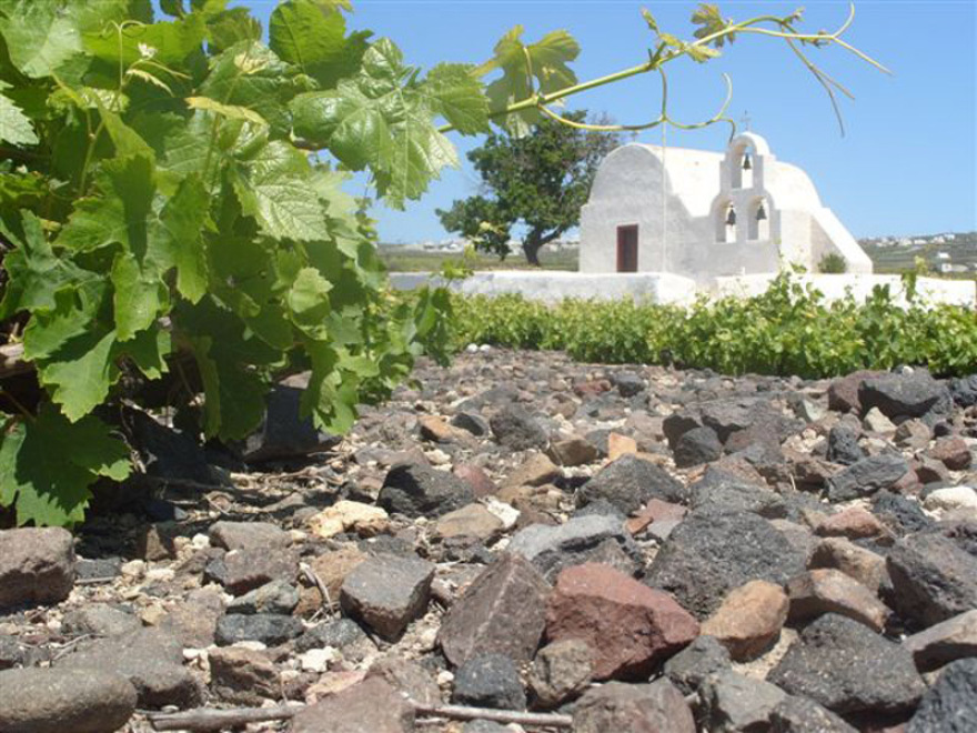 SANTO: Η δύναμη της συλλογικότητας