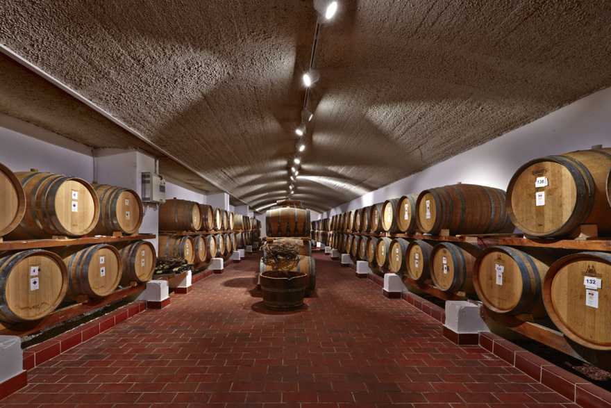 SANTO: Η δύναμη της συλλογικότητας