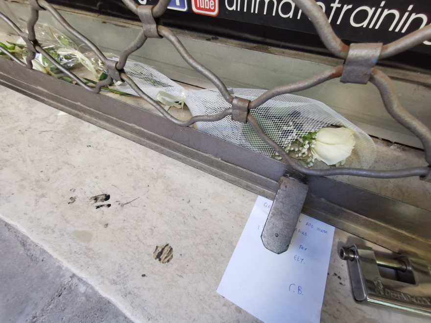 Θεσσαλονίκη: Λουλούδια και κεριά στο γυμναστήριο που αυτοκτόνησε ο 50χρονος - Η τελευταία ανάρτηση και η γυναίκα «αράχνη»