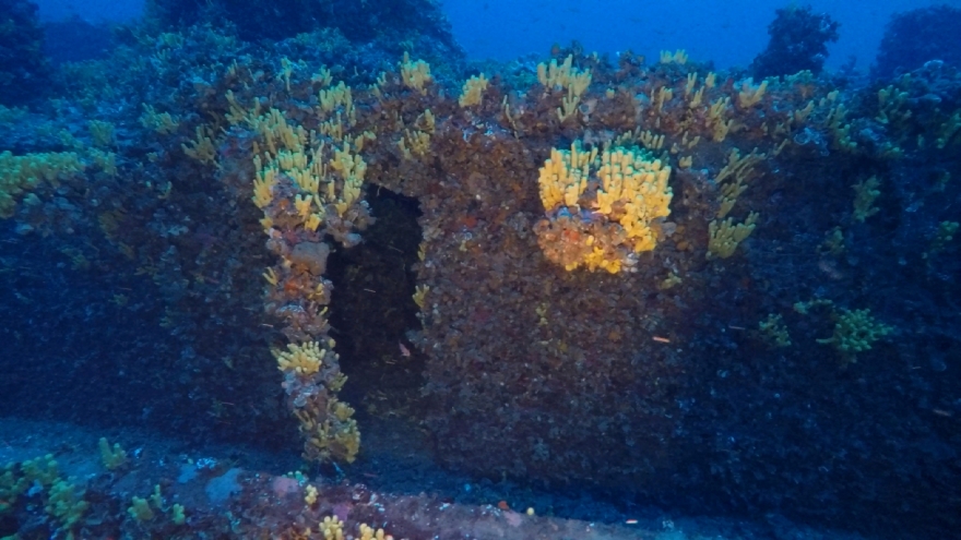 Κύθνος: Ναυάγιο ισπανικού ατμόπλοιου - «Είναι σαν να σταμάτησε ο χρόνος τον Απρίλιο του 1943» (φωτογραφίες)