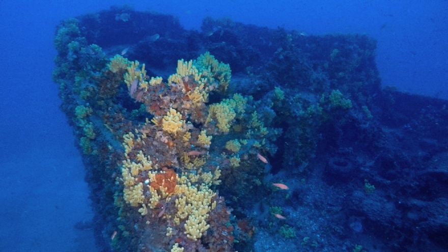 Κύθνος: Ναυάγιο ισπανικού ατμόπλοιου - «Είναι σαν να σταμάτησε ο χρόνος τον Απρίλιο του 1943» (φωτογραφίες)