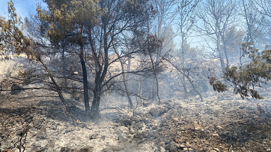 Φωτιά στη Βούλα: Συνεχείς αναζωπυρώσεις, ενισχύονται οι δυνάμεις της πυροσβεστικής