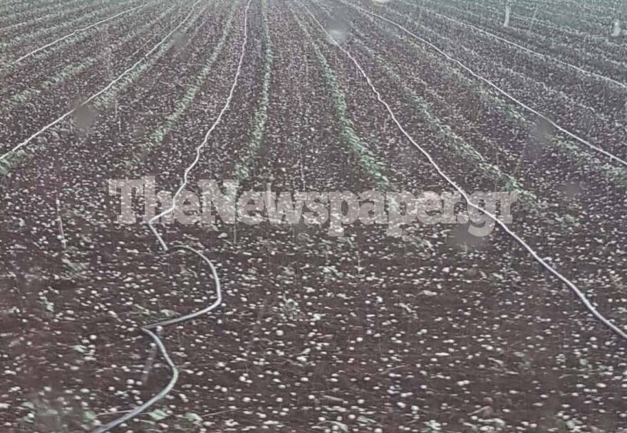 Σφοδρή χαλαζόπτωση σε Φλώρινα, Σέρρες και Λάρισα - «Ποτάμια» οι δρόμοι στη Θεσσαλονίκη (βίντεο και φωτογραφίες)