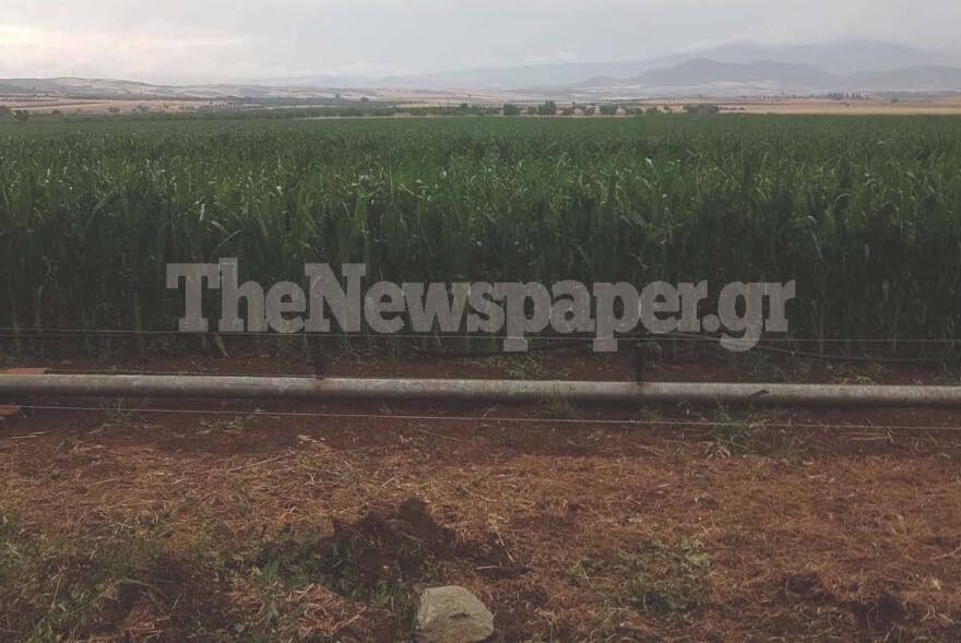 Σφοδρή χαλαζόπτωση σε Φλώρινα, Σέρρες και Λάρισα - «Ποτάμια» οι δρόμοι στη Θεσσαλονίκη (βίντεο και φωτογραφίες)