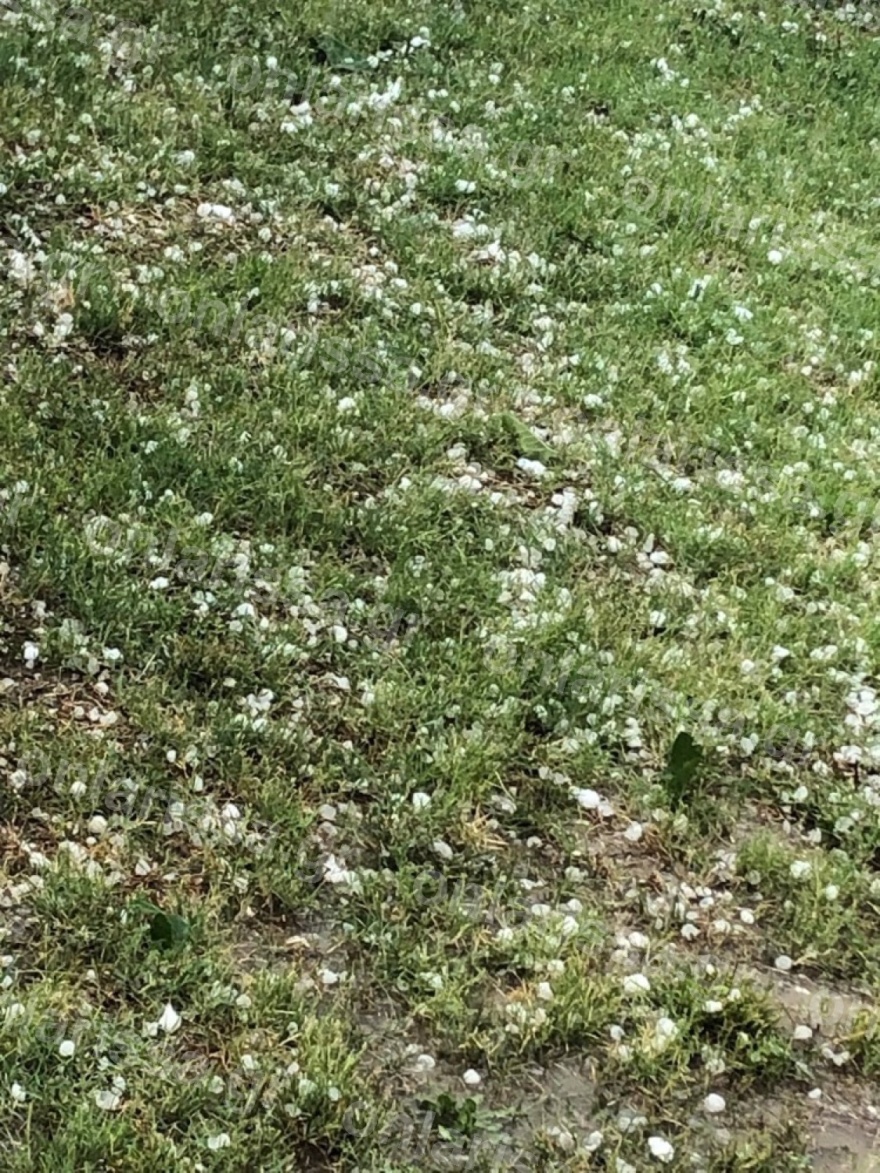 Σφοδρή χαλαζόπτωση σε Φλώρινα, Σέρρες και Λάρισα - «Ποτάμια» οι δρόμοι στη Θεσσαλονίκη (βίντεο και φωτογραφίες)