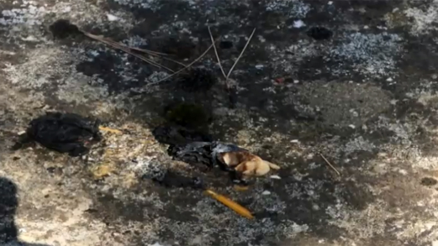 Μαλακάσα: Στον εισαγγελέα ο Βρετανός που προσπάθησε να βάλει φωτιά με κεριά