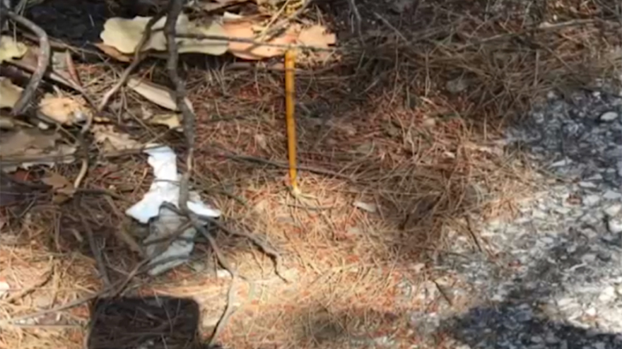 Μαλακάσα: Στον εισαγγελέα ο Βρετανός που προσπάθησε να βάλει φωτιά με κεριά