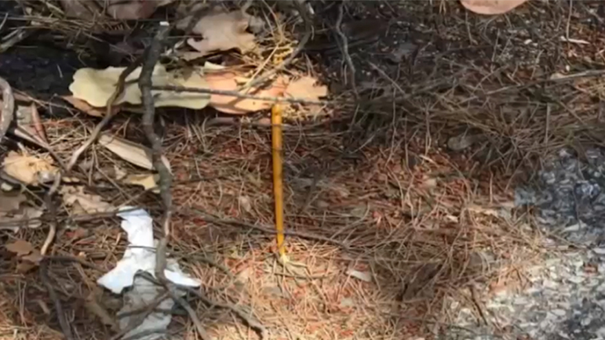 Μαλακάσα: Στον εισαγγελέα ο Βρετανός που προσπάθησε να βάλει φωτιά με κεριά