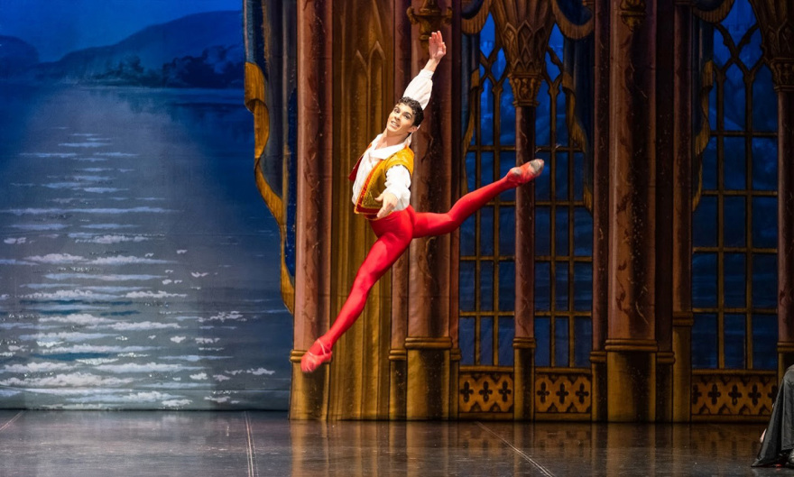 International Stars of Classical Ballet - H Λίμνη των Κύκνων